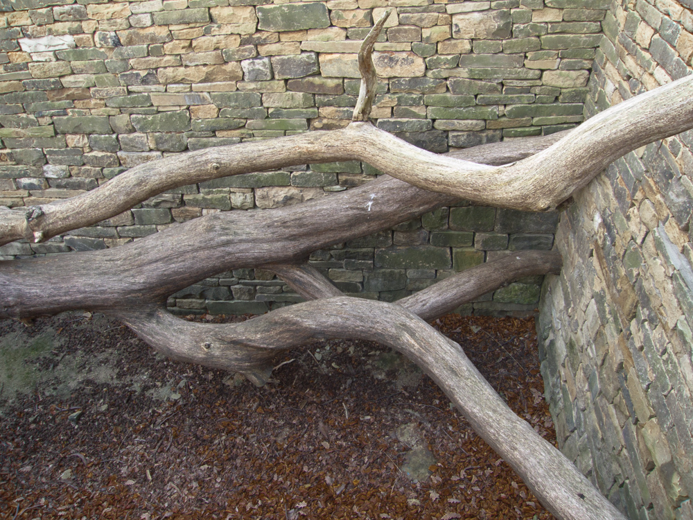 Yorkshire Sculpture Park