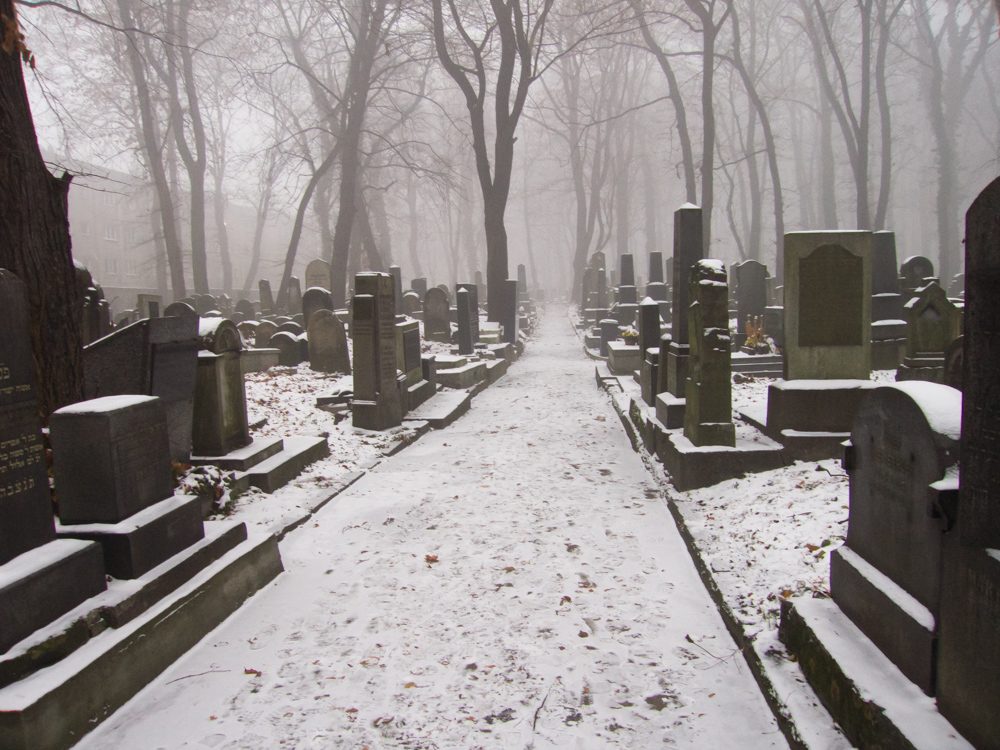 The 'new' jewish cemetery. The earliest graves are from the 1840s. An older medieval cemetery also exists in Krakow - The Remuh, which was founded in 1553. Walking down this corridor of the cemetery I noticed that many of the headstones indicate dates of death in 1942, 1943 and 1944