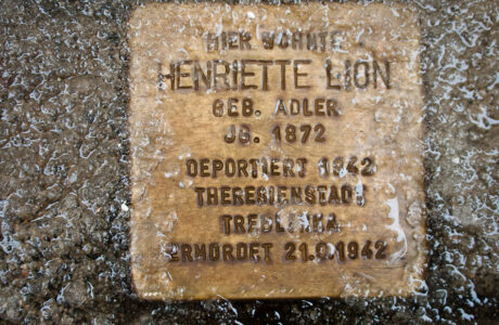 Kirschfeldstrasse 145 Dusseldorf; Henriette Lion