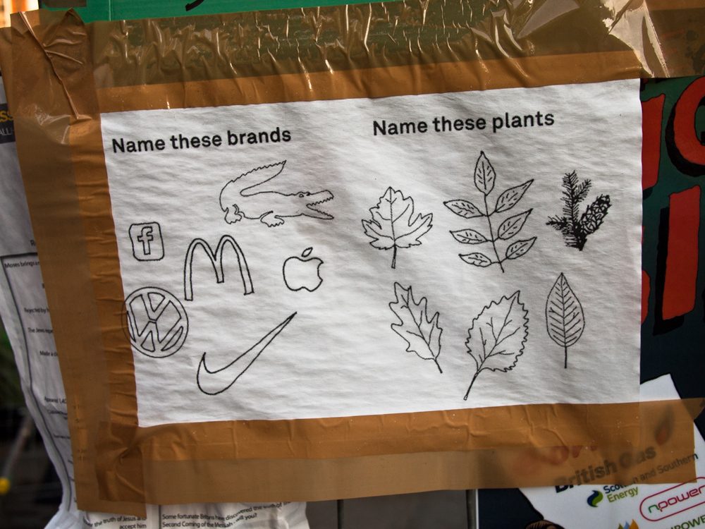 Brands and plants - occupy london