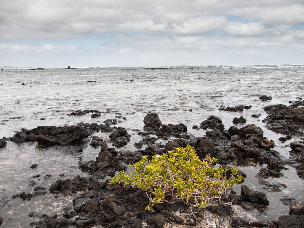 Lanzarote