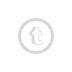 tumblir icon
